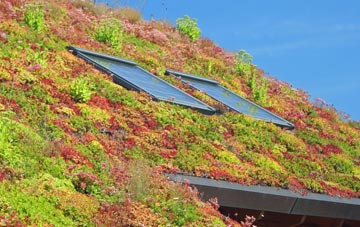 Beddingham living roof systems