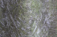 Beddingham fibreglass roof work